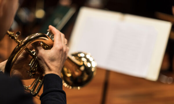 A person playing the flugelhorn A person playing the flugelhorn